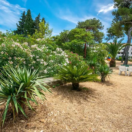 Mirta-2 By Interhome Apartment